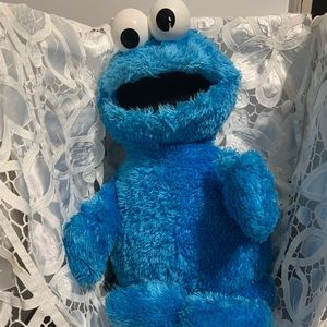 Sesame Street Cookie Monster